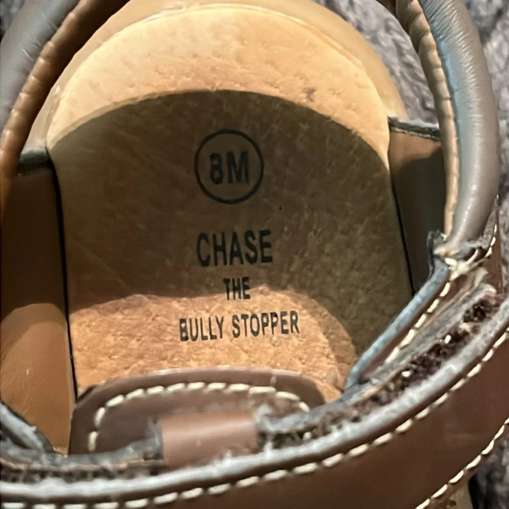 Chase the Bully Stopper chase bully